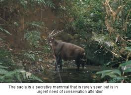 L’UICN : La Sentinelle de la Nature